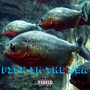 Fish in the Sea (Explicit)