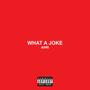 What a Joke (Explicit)