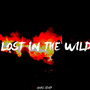 Lost in the Wild