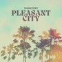 Pleasant City