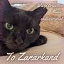 To Zanarkand (From 