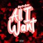 All I Want (feat. Aurixc) [Explicit]