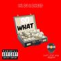 So What (feat. DncJD) [Explicit]