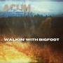 Walkin’ With Bigfoot