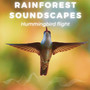 Rainforest Soundscapes: Hummingbird flight