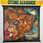 Marcio Montarroyos / Stone Alliance