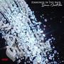 diamonds in the rain (Explicit)