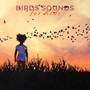 Birds Sounds for Kids - Deep Relaxation, Meditation, Morning Wake Up, Alarm Clock