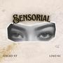 Sensorial (Explicit)