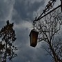 Фонари