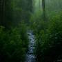 Heavy rain & Green Noise