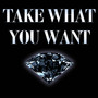 Take What You Want (Instrumental)