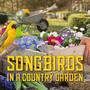 Songbrids in a Country Garden