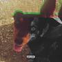 CHALANT (Explicit)