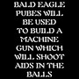 Bald Eagle Pubes Will Be Used to Build a Machine Gun Which Will Shoot Aids in the Balls