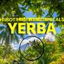 YERBA