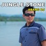 JUNGLE STONE (Remastered 2024)