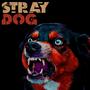 Stray Dog (Explicit)