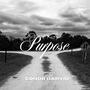 Purpose