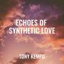 Echoes of Synthetic Love