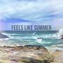 FEELS LIKE SUMMER (feat. Lunarpanels) [Explicit]