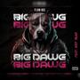 The Big Dawg (Explicit)