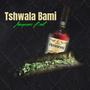 TSHWALA BAMI (Amapiano Beat)