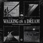 Walking On A Dream (Techno)