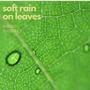 Soft Rain On Leaves