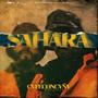 Sahara (feat. Original Dub Master & Dieidiou) [Explicit]