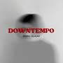 DownTempo (Explicit)