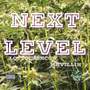 Next Level (feat. MRVILLIN) [Explicit]