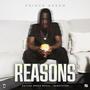 Reasons (Explicit)