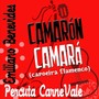 Camarón Camará (Capoeira Flamenco) [feat. Edimundo Santos & Fernando De La Rua]