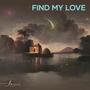 Find My Love