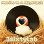 Needle In The Haystack