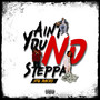 You Ant No Steppa (Explicit)