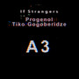 A3