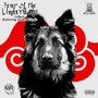 Year of the Underdogs (feat. Manz Rivalz) (Explicit)