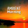 Ambient Morning