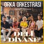 Deli Divane