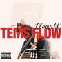 tems flow (Explicit)