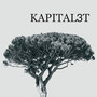 Kapital3t