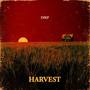 Harvest