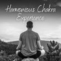 Harmonious Chakra Experience