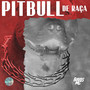 Pitbull de Raça (Explicit)