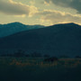 Elysian