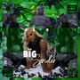 BiG SPiDER (Explicit)