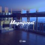 Magnificent (feat. HD) - Single [Explicit]