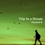 Trip In a Dream